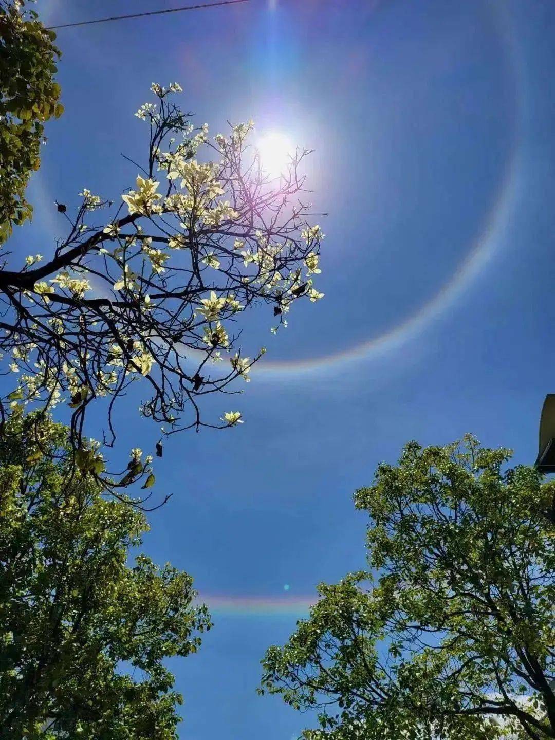 罕见大理丽江香格里拉都出现了七彩双环日晕你拍到了吗