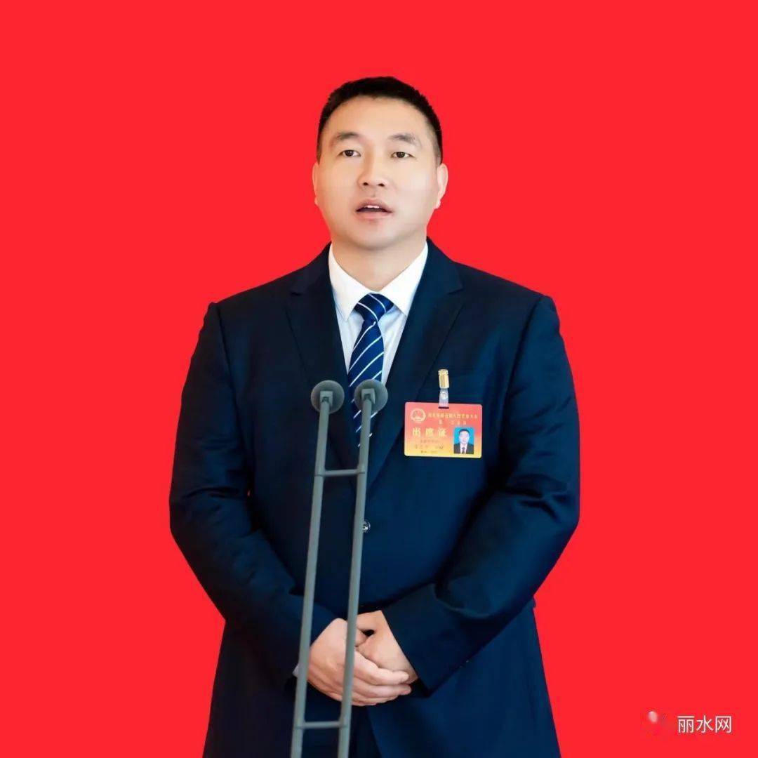 听来自龙泉的代表委员热议丽水市政府工作报告