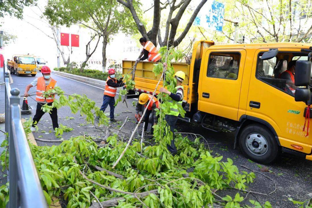 做到施工現場整潔有序陳理傑攝自修剪工作啟動以來綠化養護工人每天