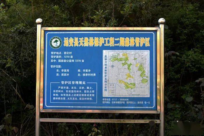 民间河长巡河春暖花开奔巡辛家冲河而来