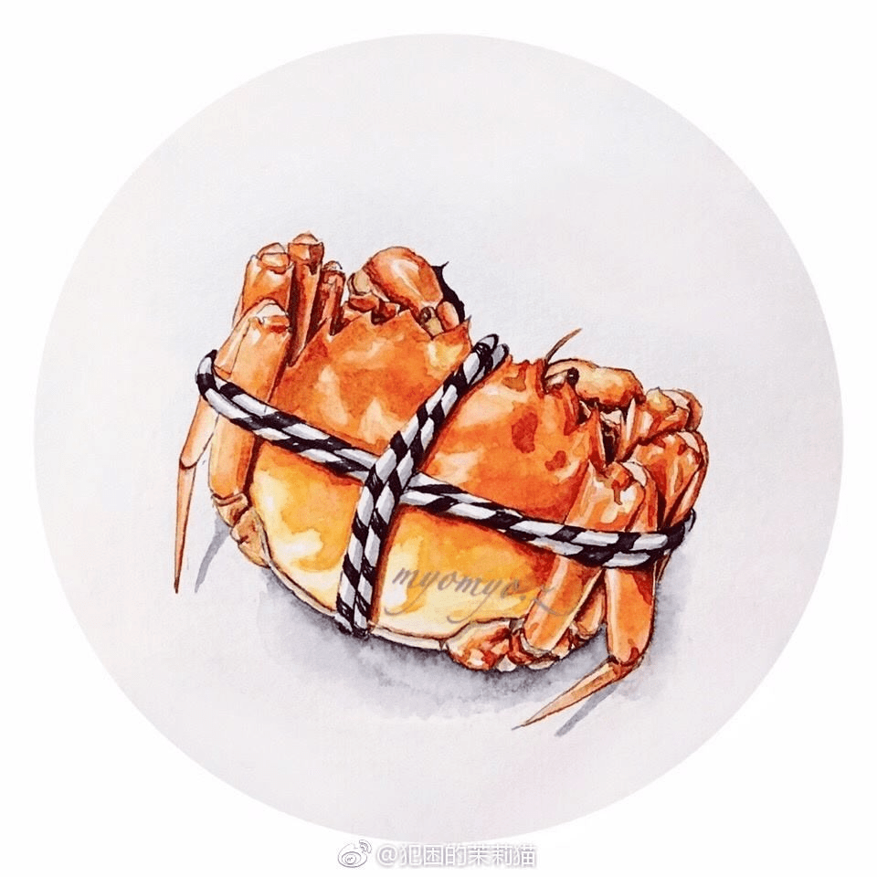 打卡丨美食插画46美食插画螃蟹的绘制