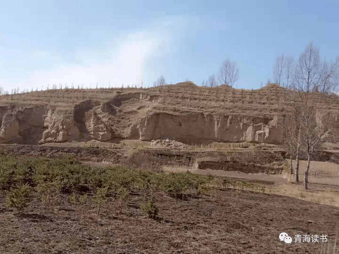 【青海记忆】牛头山下的贡哥星吉