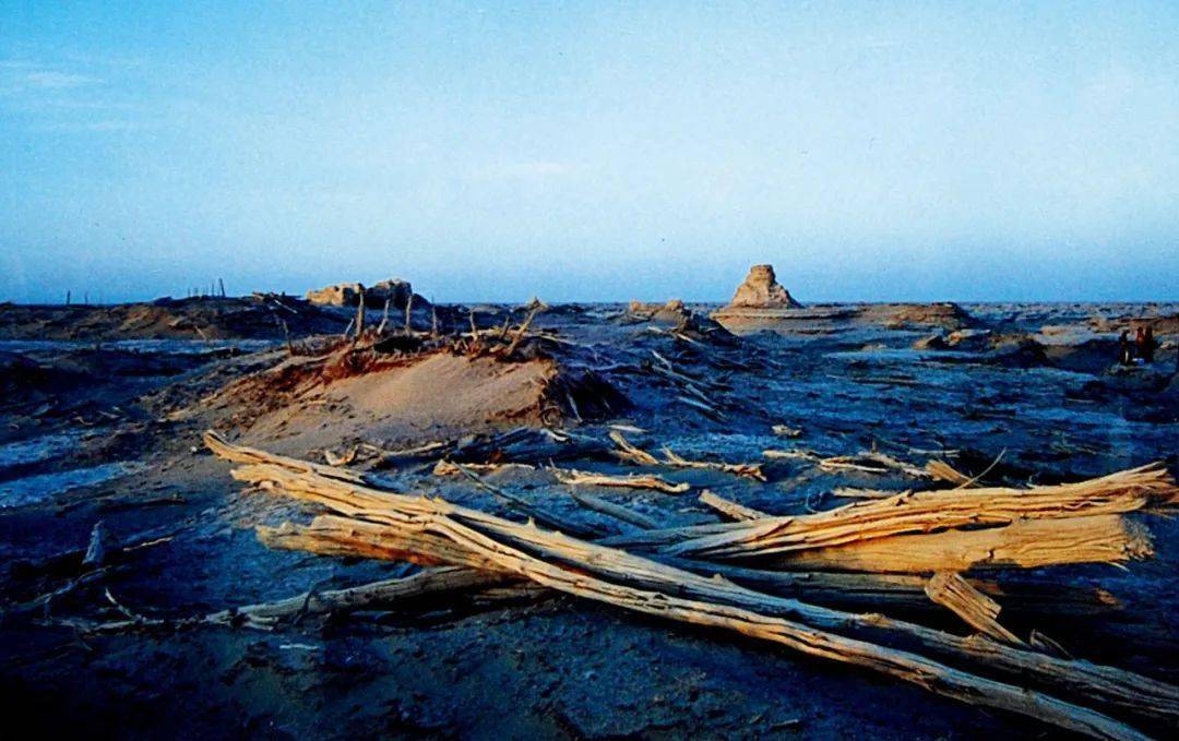 塔里木河中国最长内陆河到底有多重要