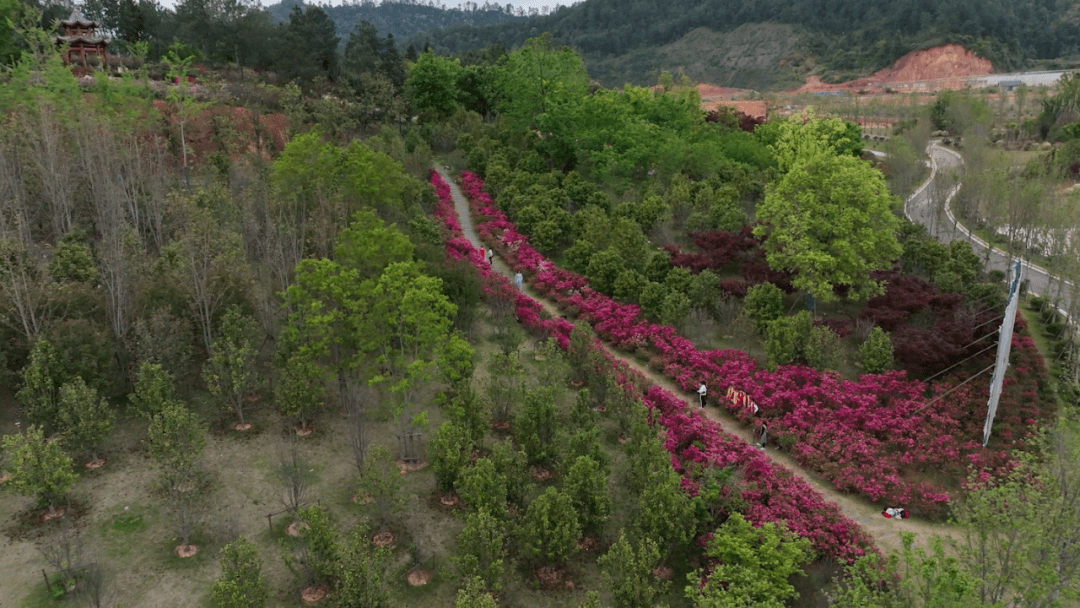 江西大余西华山矿山公园