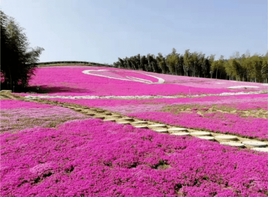 5溧陽百畝花海,奇趣戶外玩樂,雲嶺休閒度假2日遊_旅遊_龍潭_相關