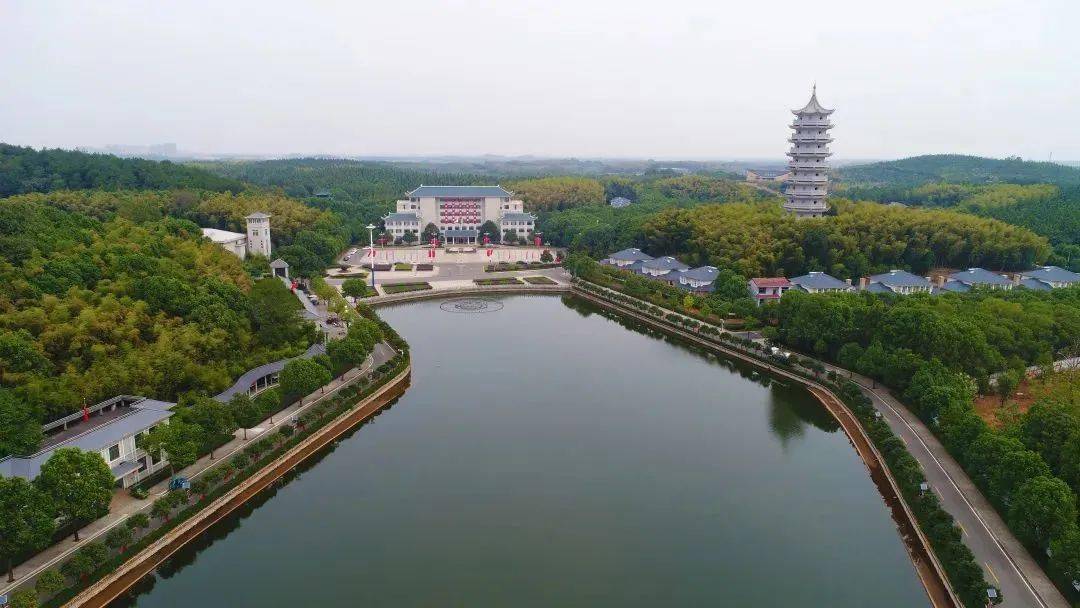 咸宁这条路获评"十大最美农村路"_嘉鱼县_桥镇_乡村