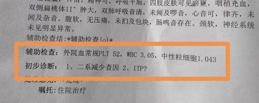 初步診斷是懷疑:itp(特發性血小板減少性紫癜)醫生建議我們做個骨髓