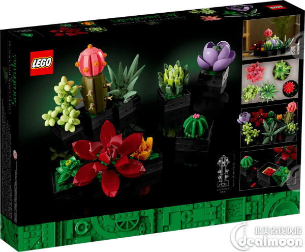 Lego 花朵作品再上新 49 99 收兰花 多肉小盆栽 图片 版权 来自