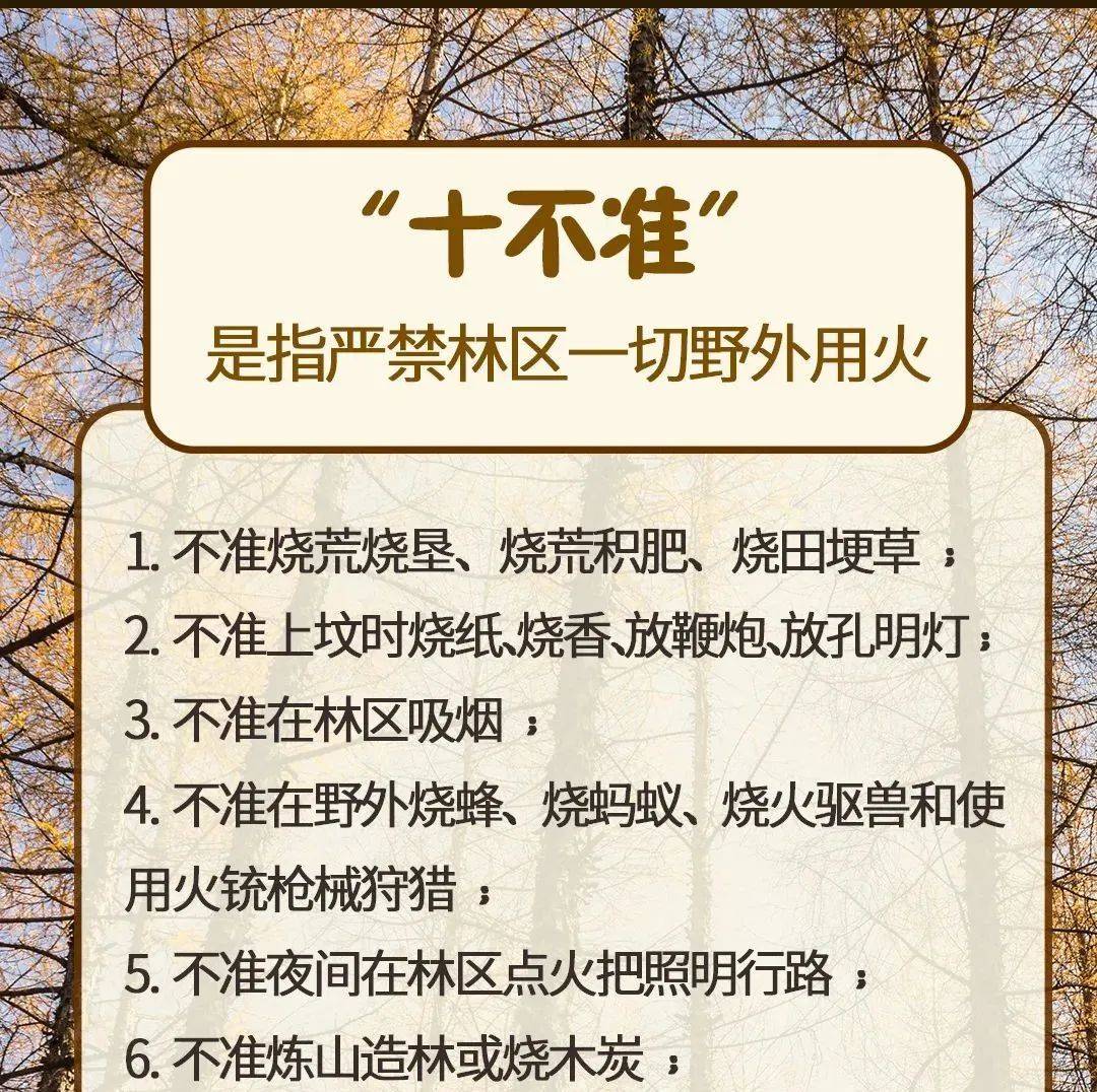 遇到森林火灾，除了拨打12119你还应该这么做_灭火_应急_地方