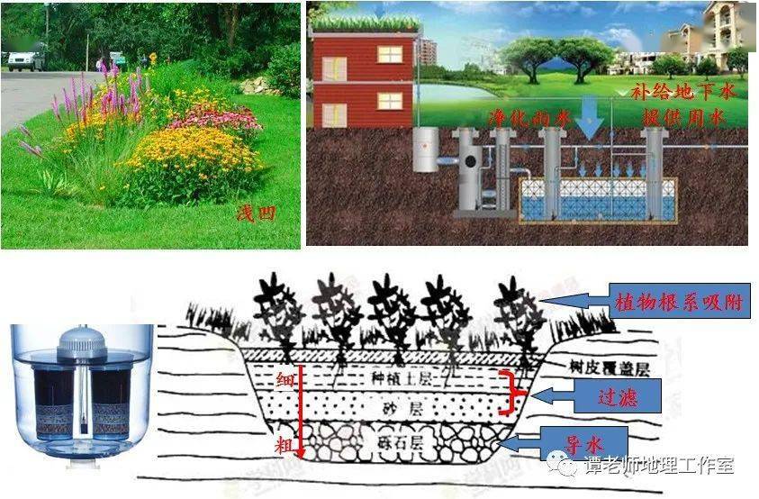 看海绵城市,雨水花园是如何和高考地理挂钩的!