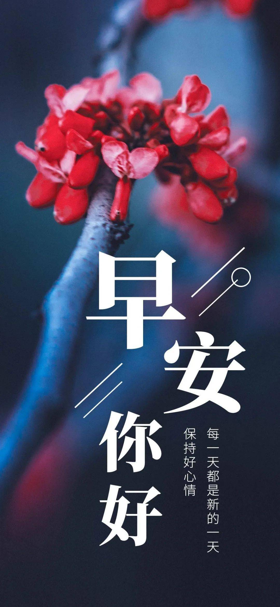 一月十八号的早安图片图片