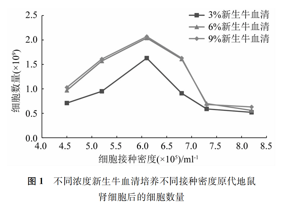 細胞工廠phk細胞接種密度和新生牛血清濃度的選擇