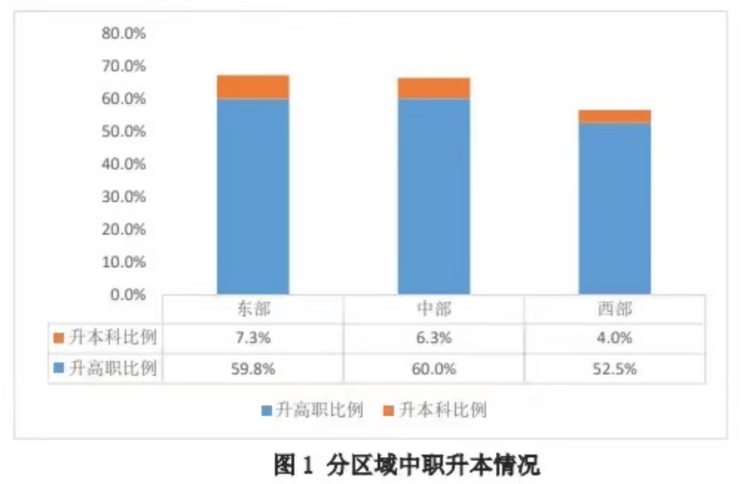 被误导和放大的普职分流与升学焦虑