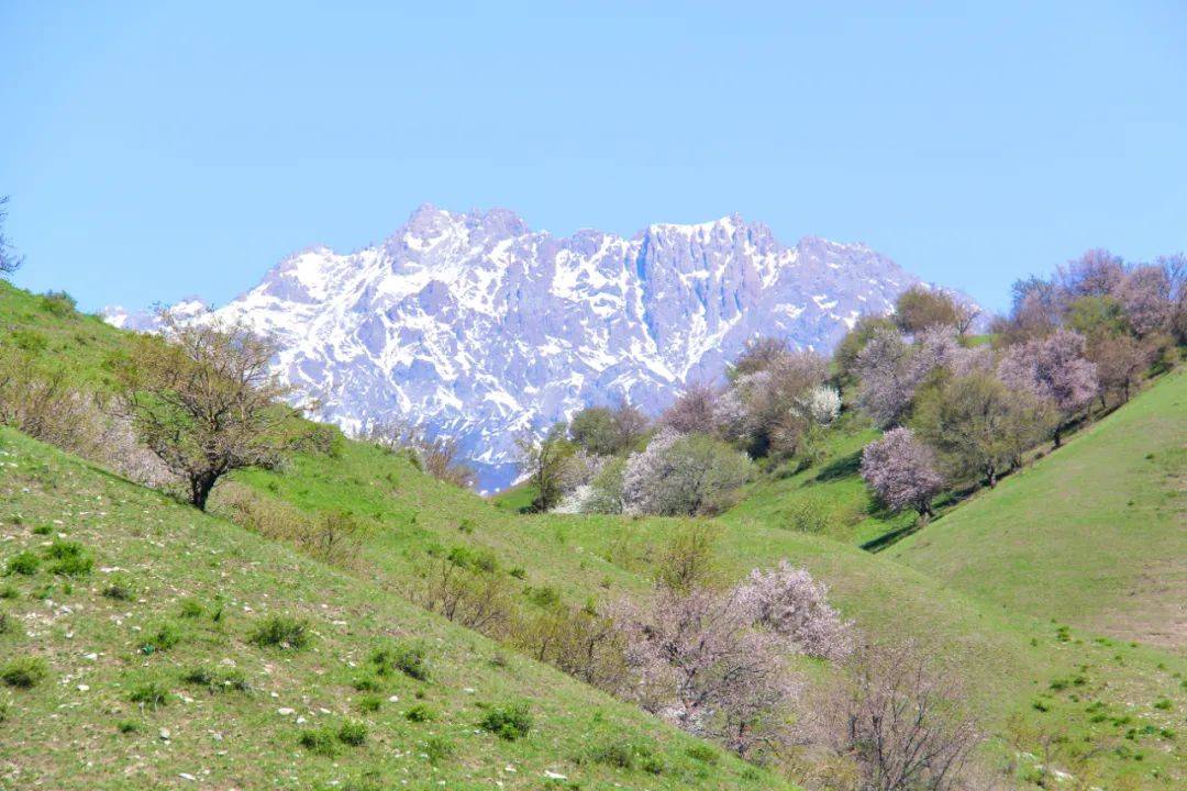 原创春瞰伊犁中华福寿山