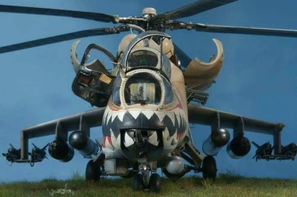 垂直飞翔的大老虎