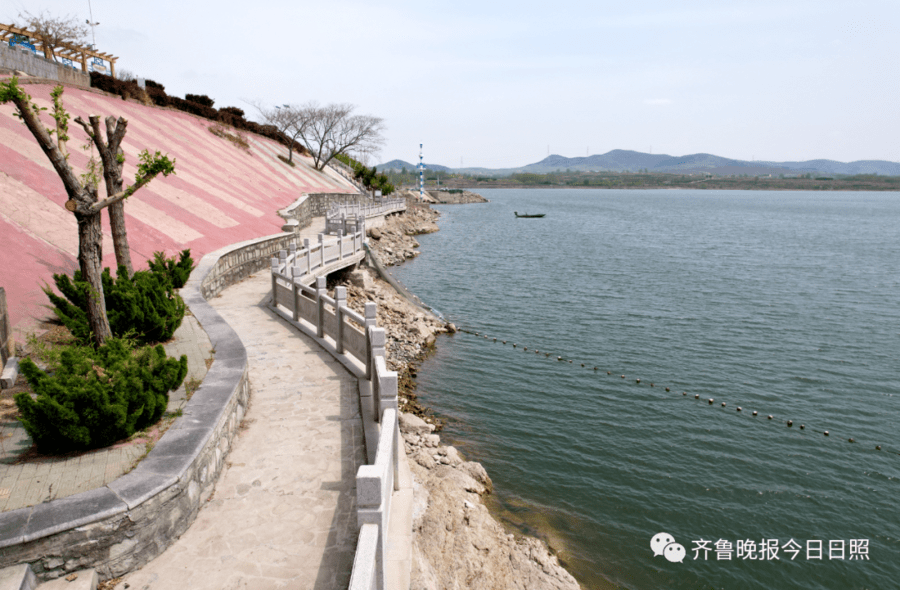 峤山镇_莒县_小米