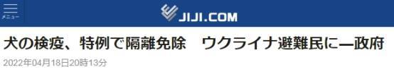 日媒：为给入境的乌难民“减负”，日本政府开特例为乌难民的狗放宽狂犬病检疫规定