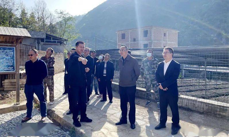 李绍唐到弥渡县红岩镇调研指导工作_驻村_吉祥村_乡村