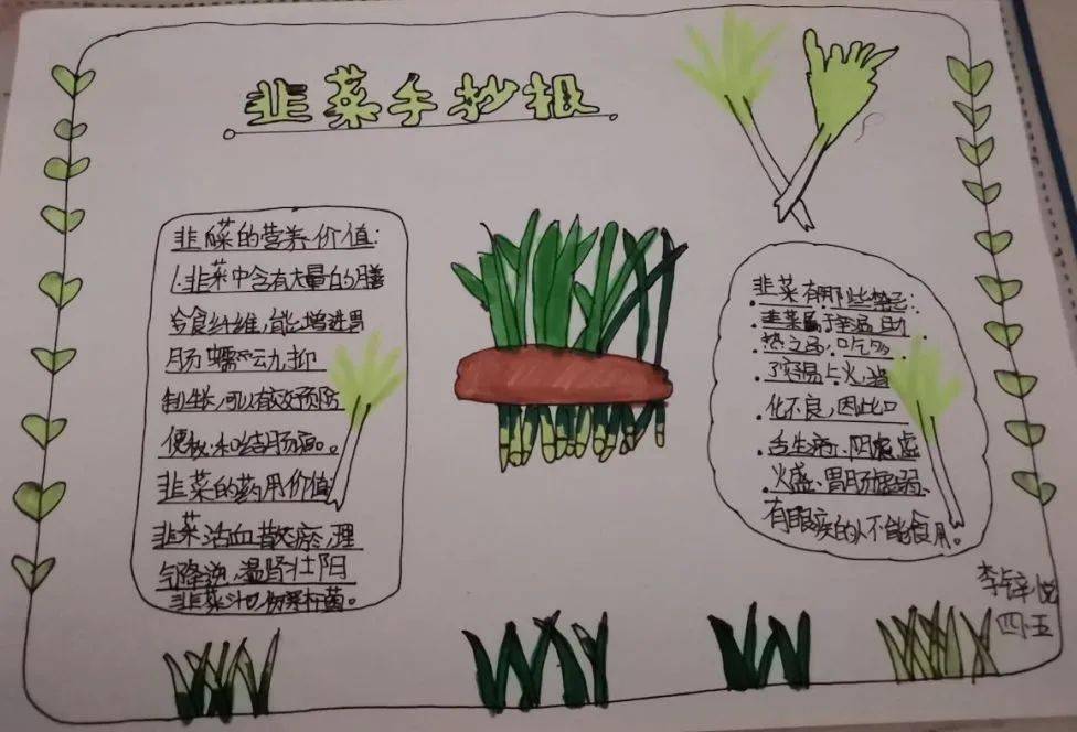 成长劳动四月劳动飘香韭菜正盛记蜊江小学韭菜项目化学习活动