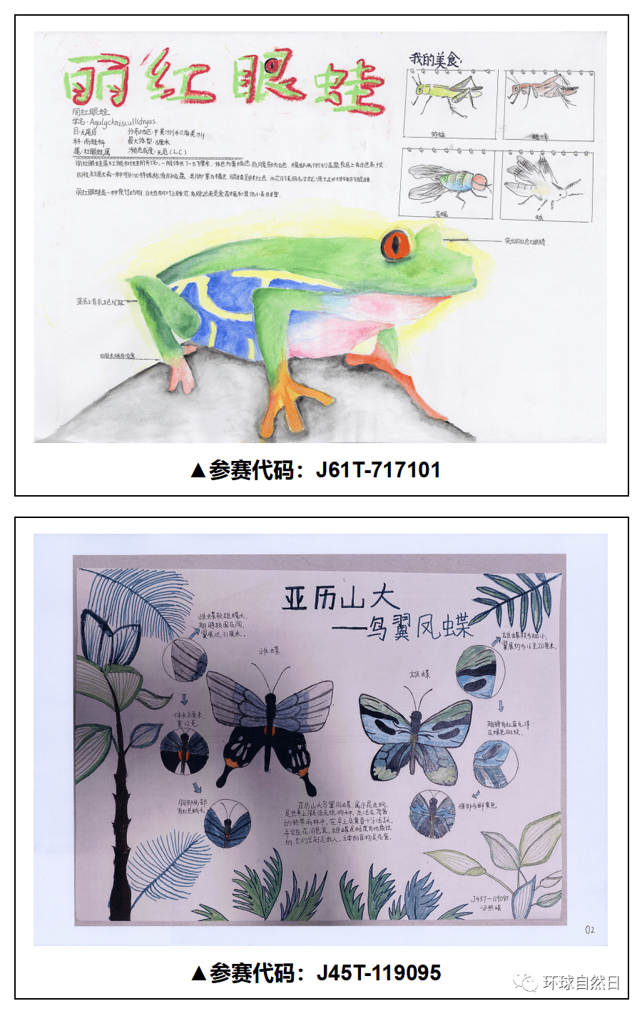 官宣環球自然日2021總決賽科普繪畫作品賞析