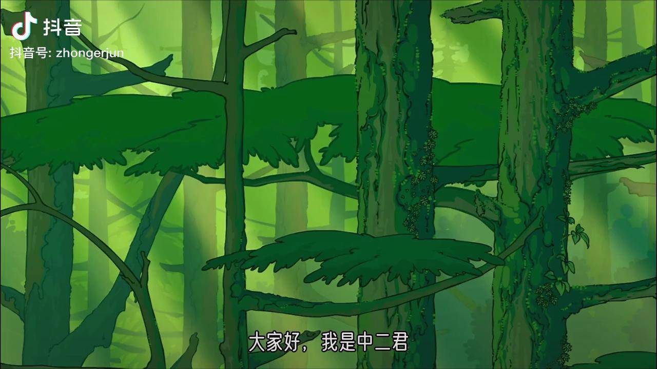 罗小黑战记六大能力体系最全讲解哪吒竟是三系大佬