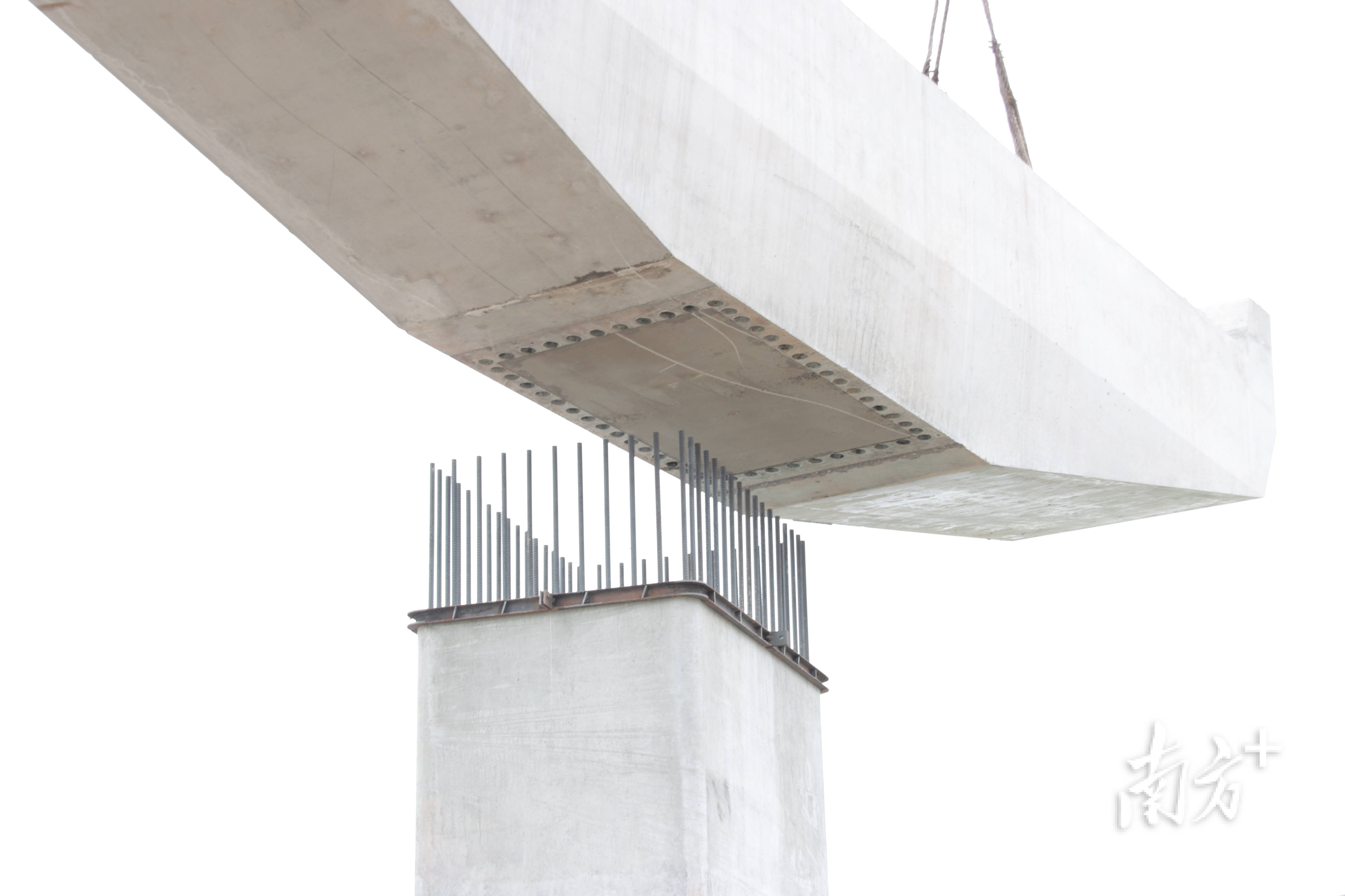 特大桥首节段钢箱梁顺利架设,横门西特大桥主塔下横梁顺利浇筑完成