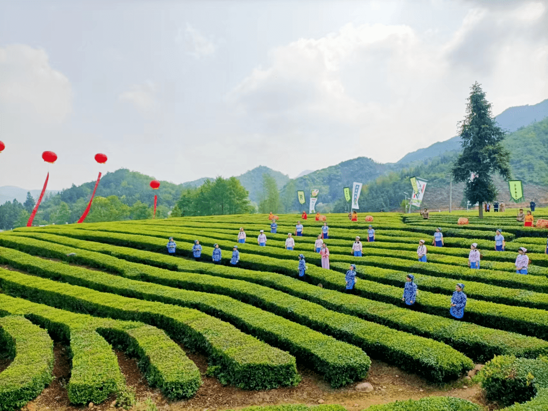第十九届安徽61石台茶叶节18号开幕_石台县_中国_主题