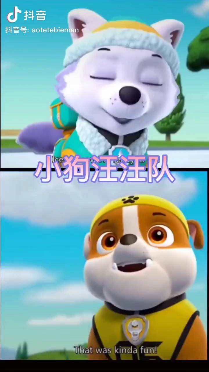 小狗汪汪队博士长被阿奇毛毛他们弄了一身雪这帮捣蛋狗狗儿歌儿童动画