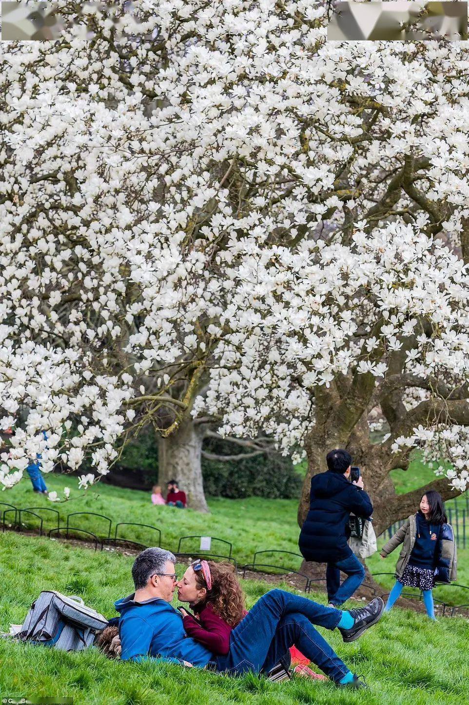 怦然心动英国大学迎来最美春天