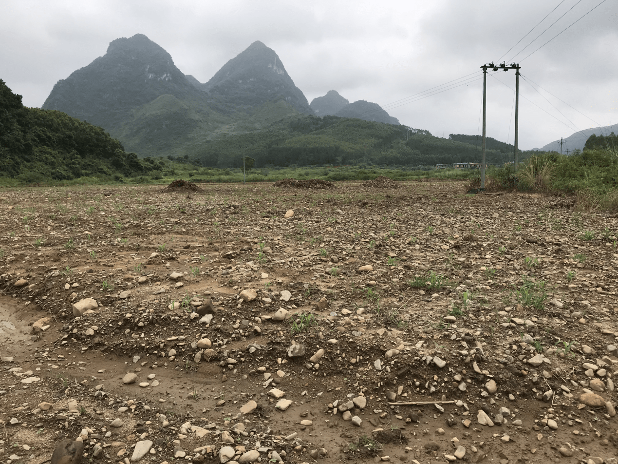 点赞高位推进各出奇招怀集12个镇街晒出撂荒地整治成绩单