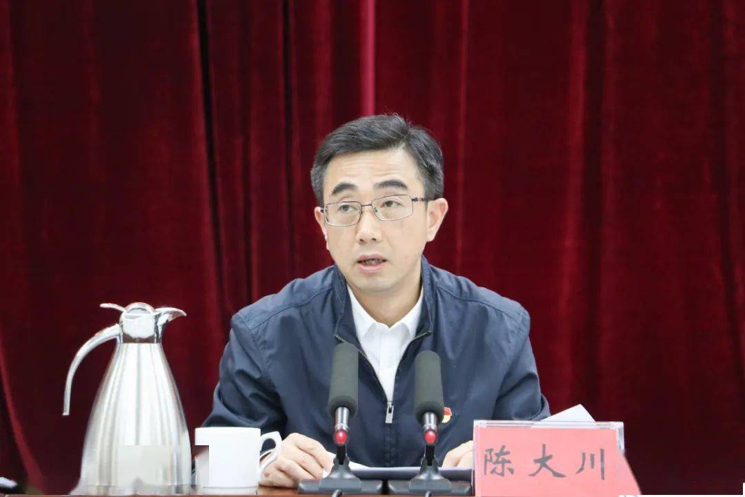 陈大川:突出重点 把握关键 加快推进新型城镇化_工作领导小组_政策