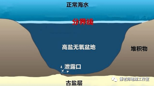 一文整理海底盐池深海冷泉海中断崖海水顶托海水倒灌附海洋地理知识