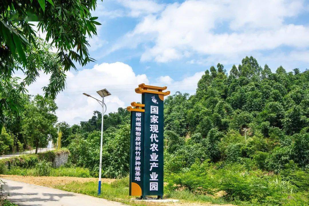 柳南区"螺蛳粉 "全力推动一二三产业融合发展_生产_柳州_柳南区