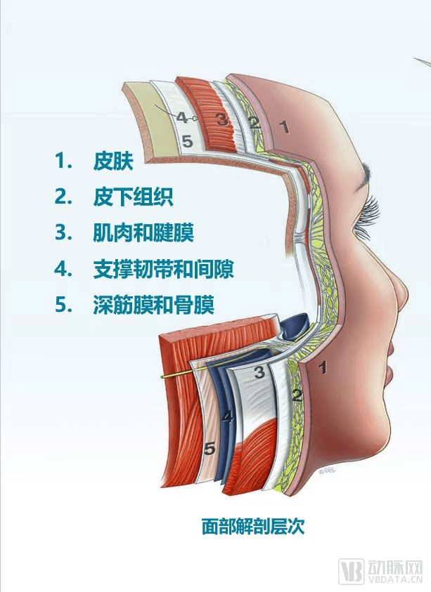 美柏生物开启颌面再生修复新纪元