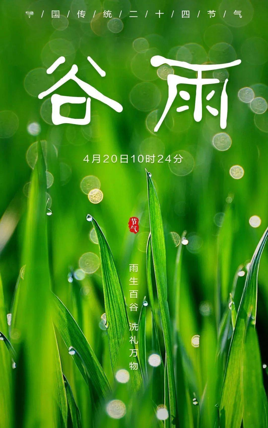 今日谷雨雨生百谷暮春将夏