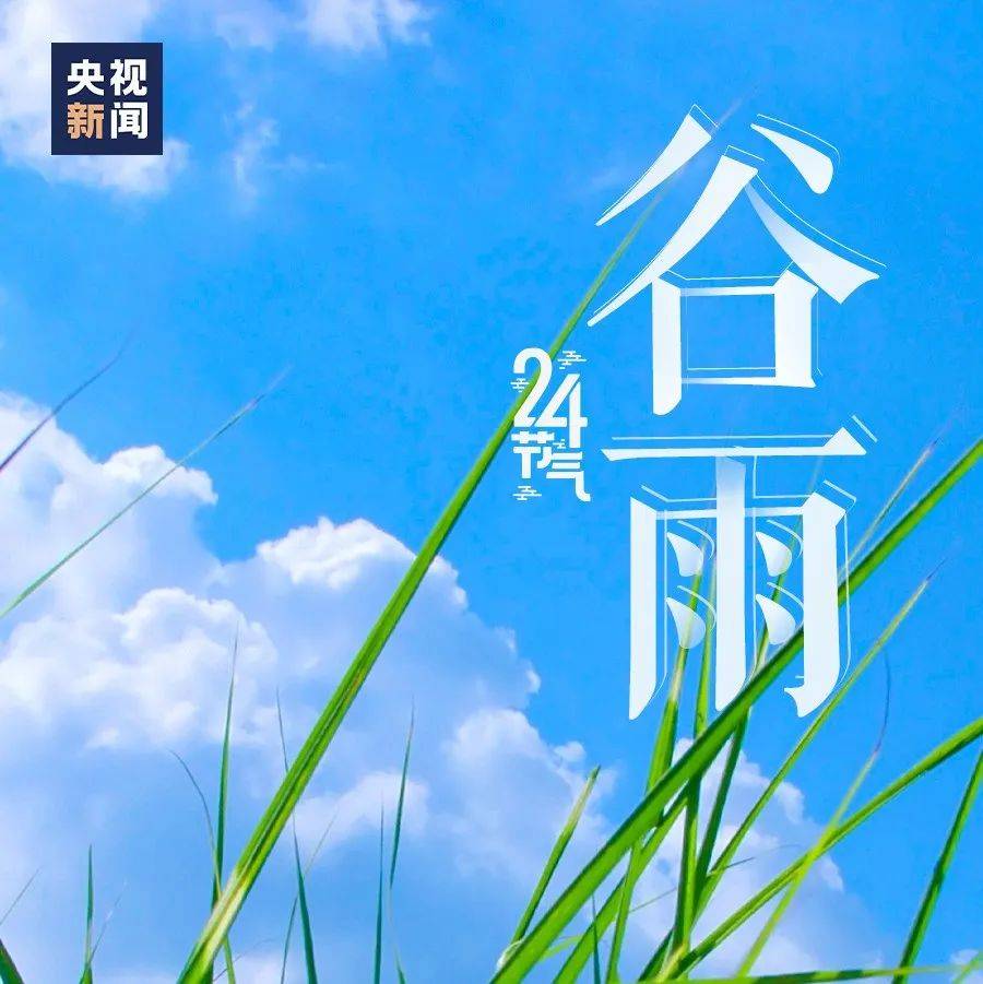 春归谷雨,夏日将至_今日谷雨_五月花_驿站