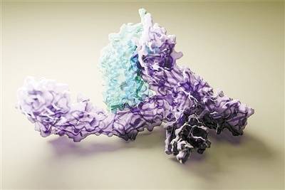 人工智能预测蛋白质结构数量将超亿阿尔法折叠革命何去何从