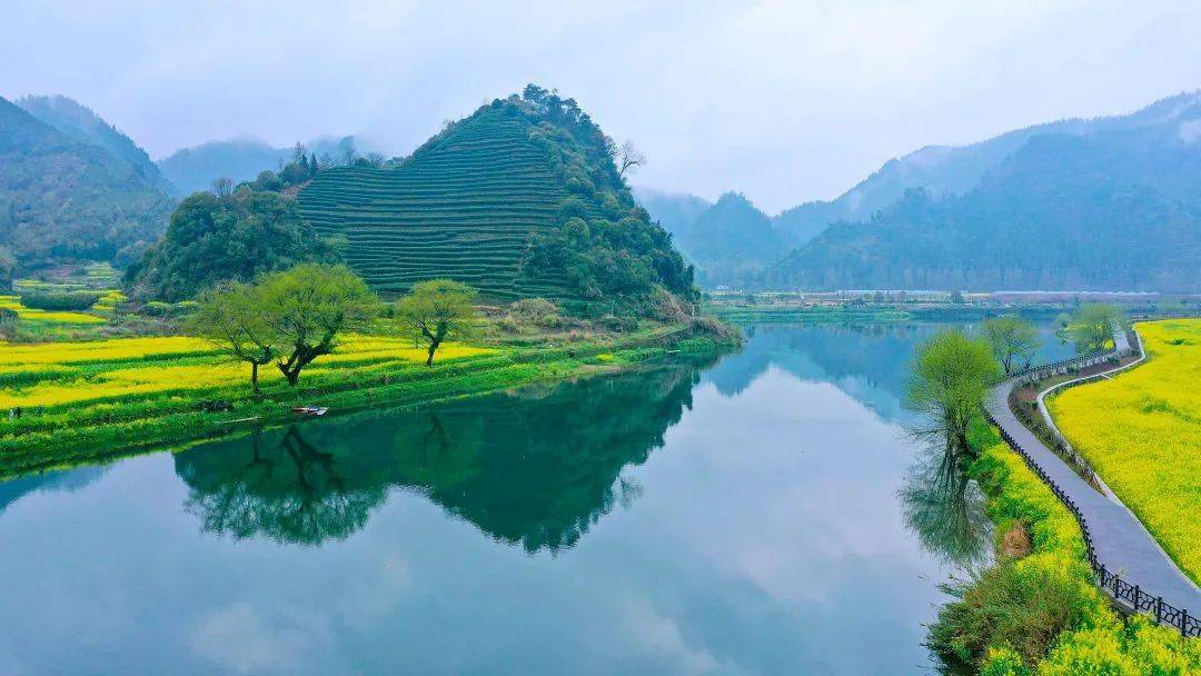 衢州河湖的美好"花事",都偷偷藏在了a4纸里~_田溪_市水利局_花海
