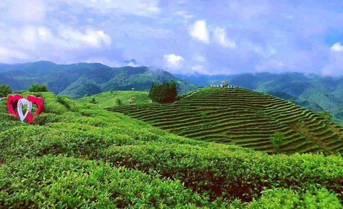 安康市茶旅融合精品景點線路_茶葉_園區_煥古鎮