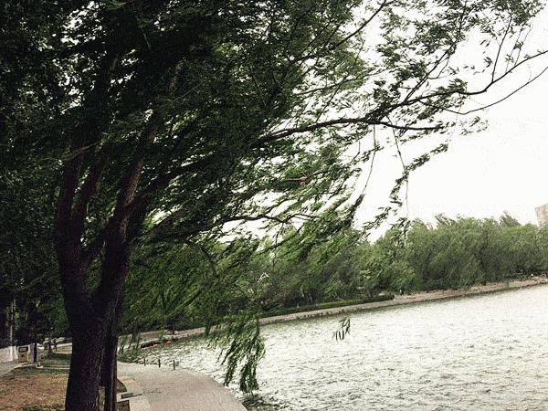 济南的风到底有多大?大风呼呼吹