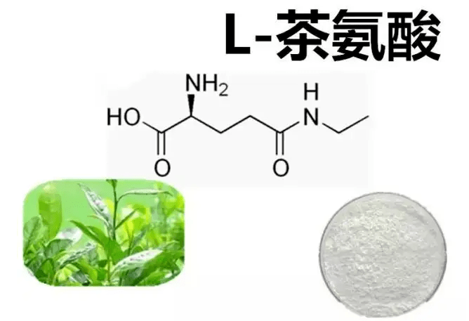 茶人识茶(三十:好茶者寿_茶碱_成分_咖啡碱