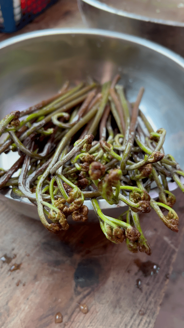 道成为了白庙河人的最爱但这道菜并没有失传虽然后来恐龙灭绝了当时不