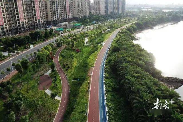 汕头龙湖区获省万里碧道建设1000万元激励!_新津河_原堤_资金