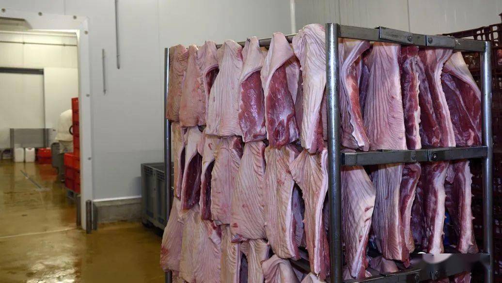 31省份全部上涨!9元猪价指日可待?进口肉下降70%!