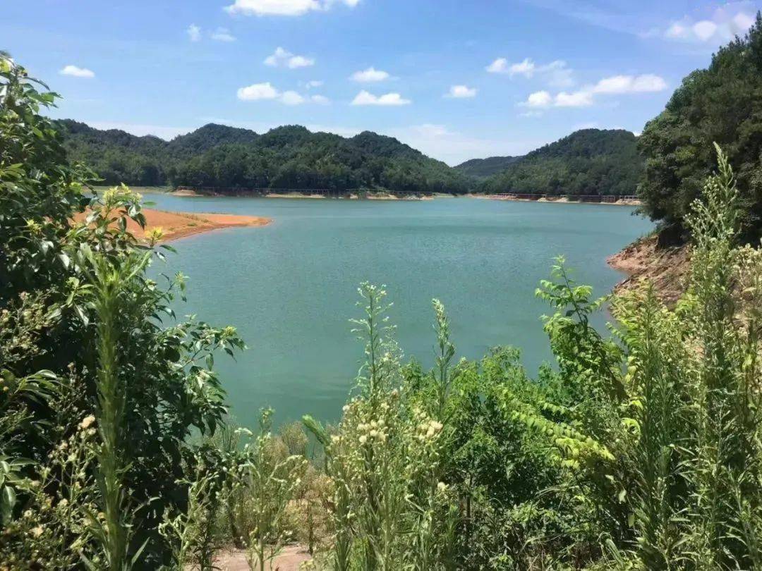 守护好一江碧水益阳高新区鱼形山水库交出治水答卷