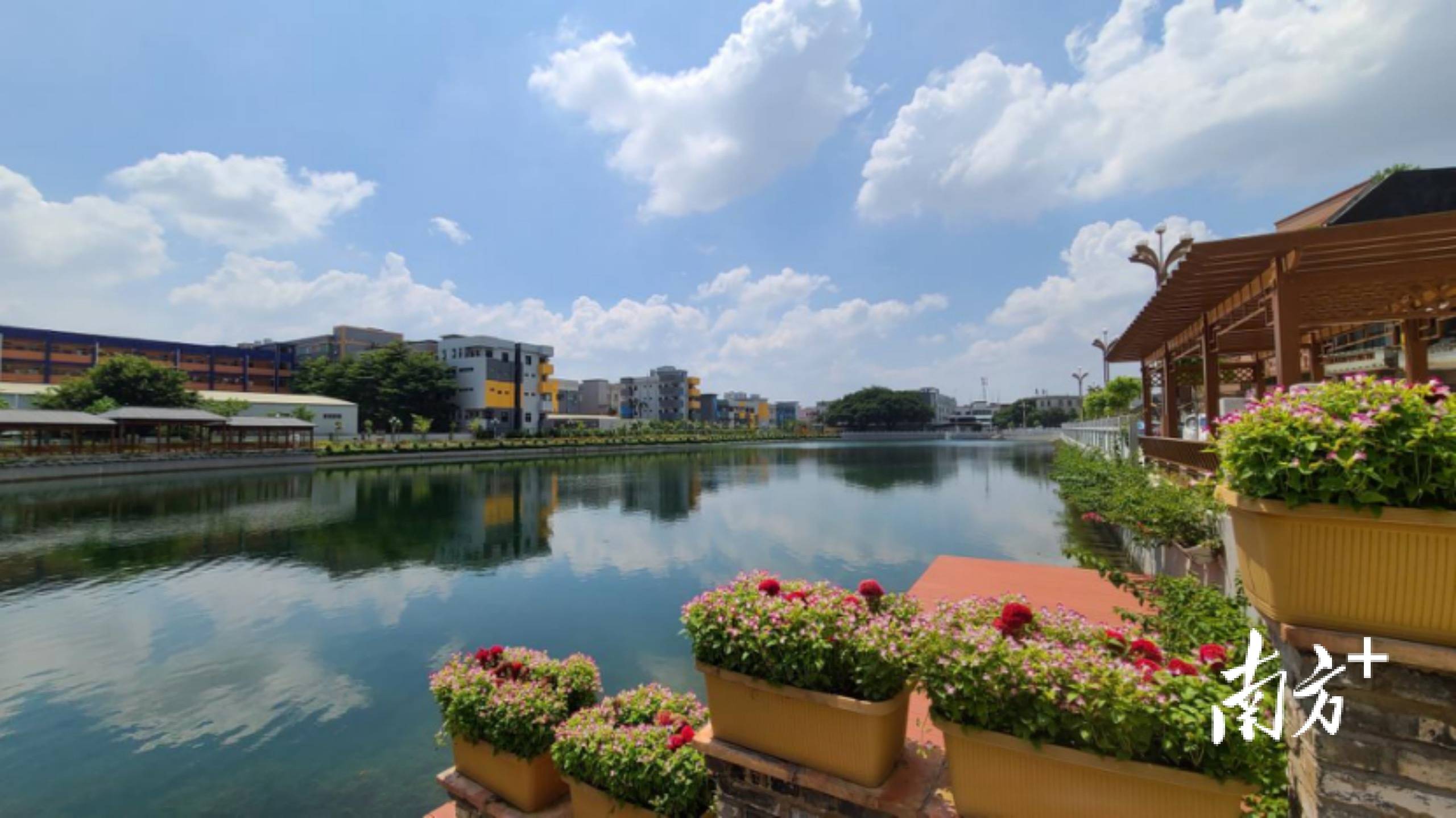 优秀案例展播坚持四个一东莞横沥镇隔坑村提升整村人居环境