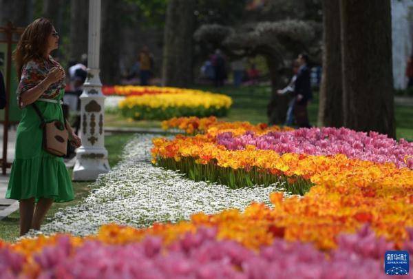 伊斯坦布爾：春光明媚的居爾哈內公園