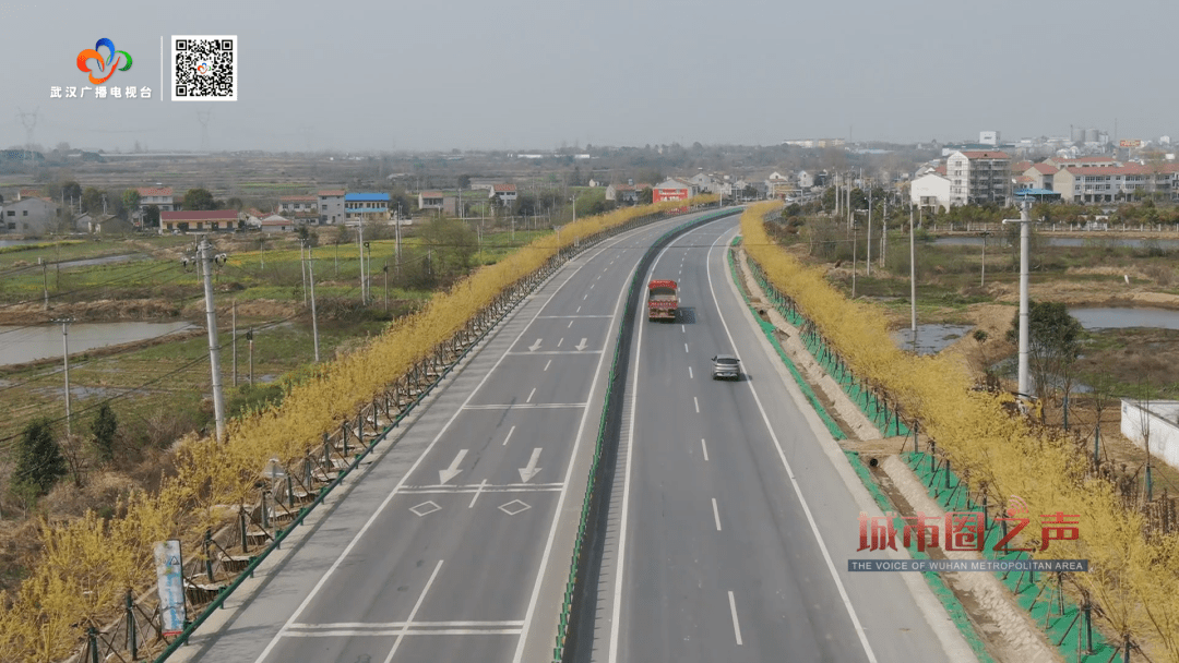 黄黄高速公路图片