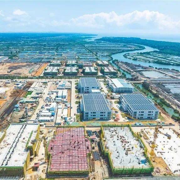 奋进新征程 逐梦自贸港丨文昌市冯家湾现代化渔业产业园:走出绿色发展新路径_养殖_水产_项目