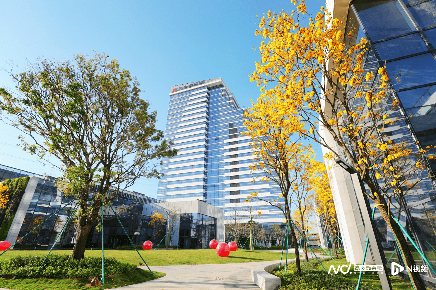 上百家优质企业进驻东莞水乡功能区新增长点正加快形成